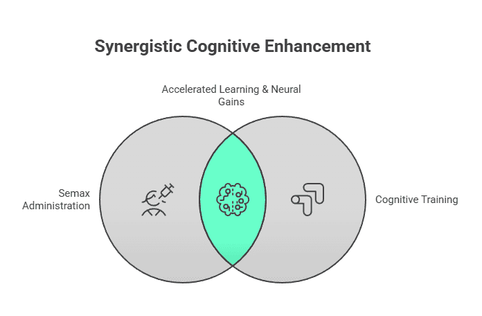 Venn diagram where Semax dosing and cognitive training overlap to yield accelerated learning and neural gains.
