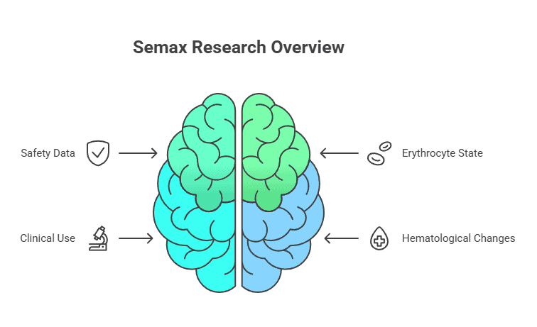 Brain graphic summarizing Semax research focus: safety data, clinical use, erythrocyte state, hematological changes.